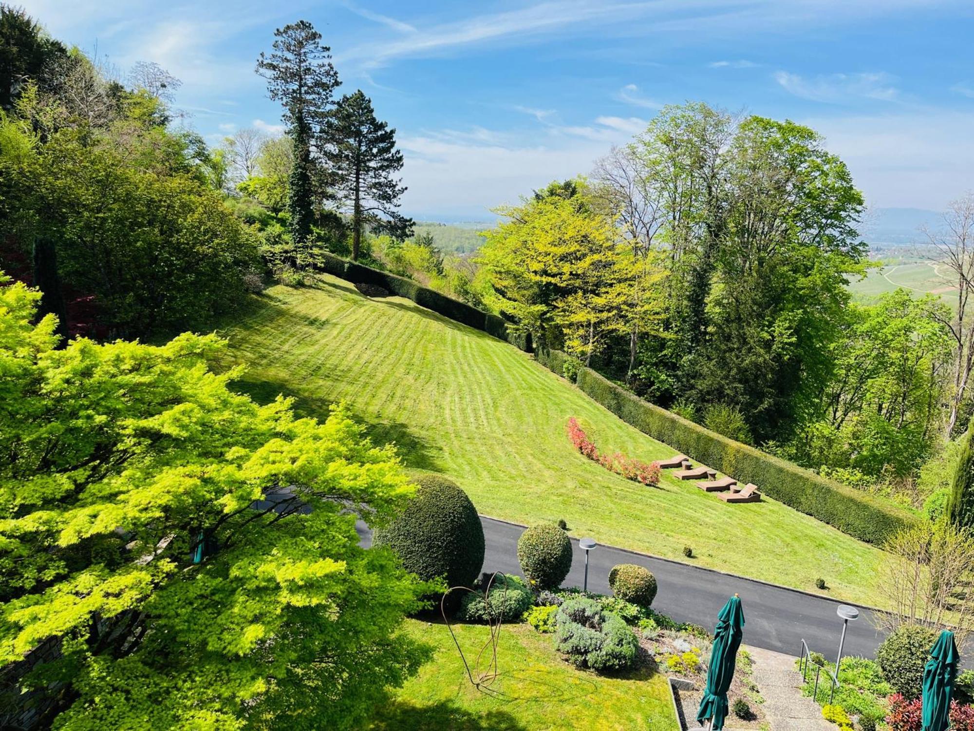 Hotel Schlossberg 바덴바일러 외부 사진