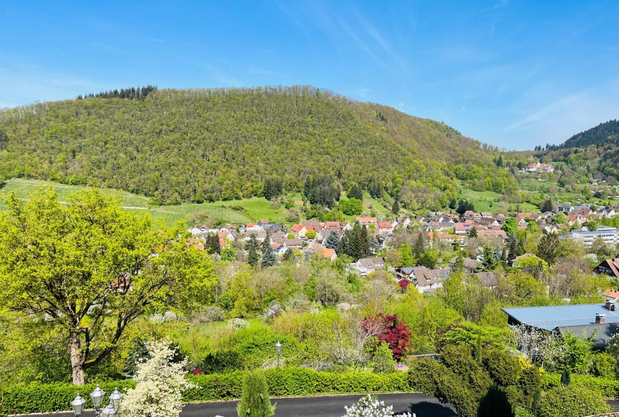 Hotel Schlossberg 바덴바일러 외부 사진