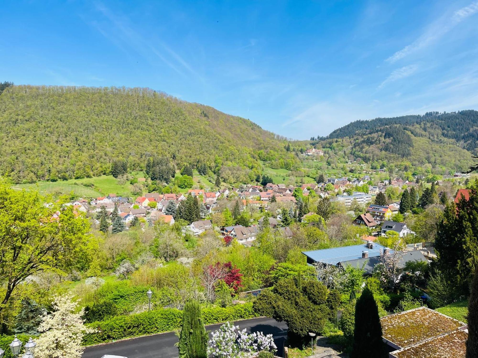 Hotel Schlossberg 바덴바일러 외부 사진