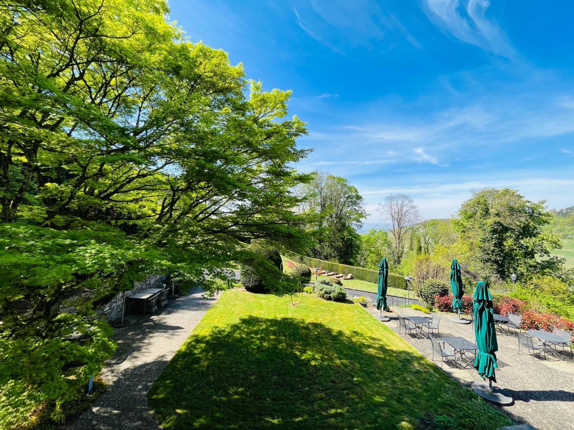 Hotel Schlossberg 바덴바일러 외부 사진